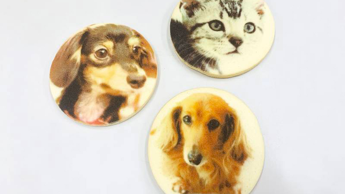 カフェプリメニュー