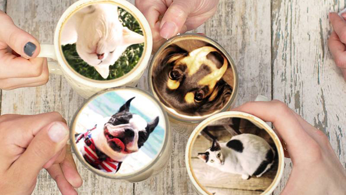 カフェプリメニュー