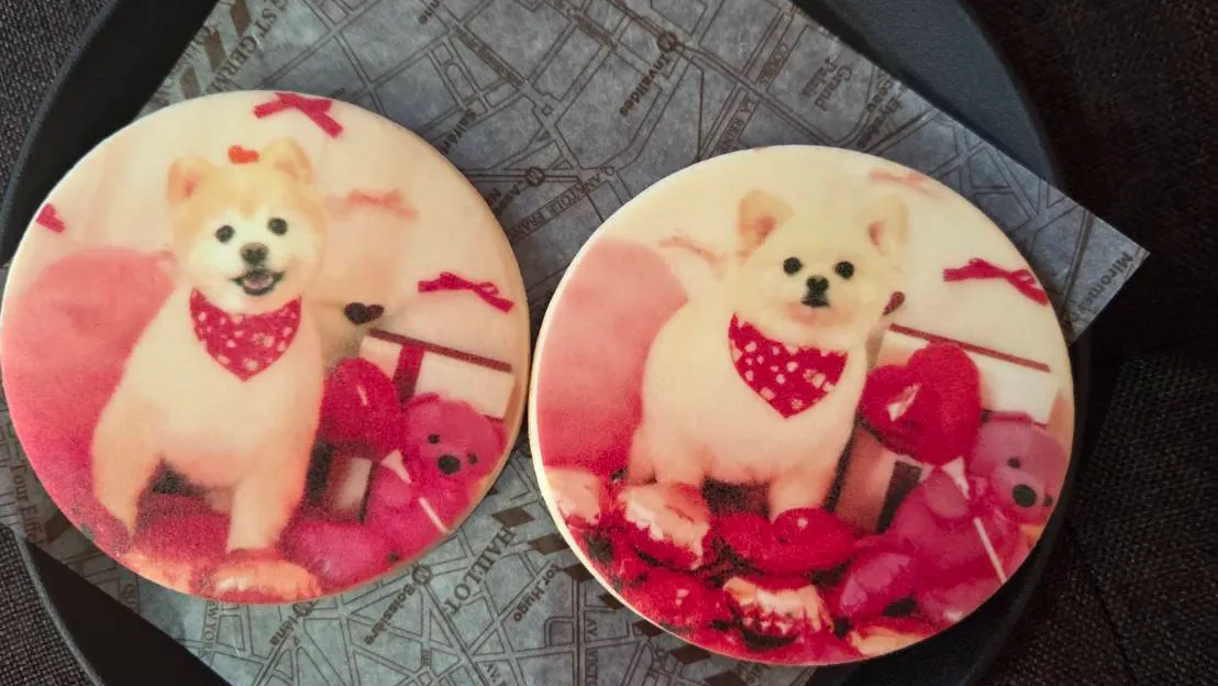 ポメラニアンのトリミングで失敗しないサロンの選び方