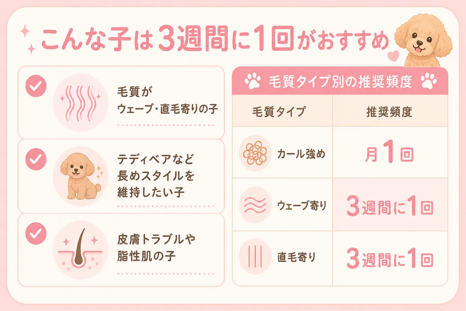 こんな子は3週間に1回がおすすめ。毛質タイプ別の推奨頻度インフォグラフィック