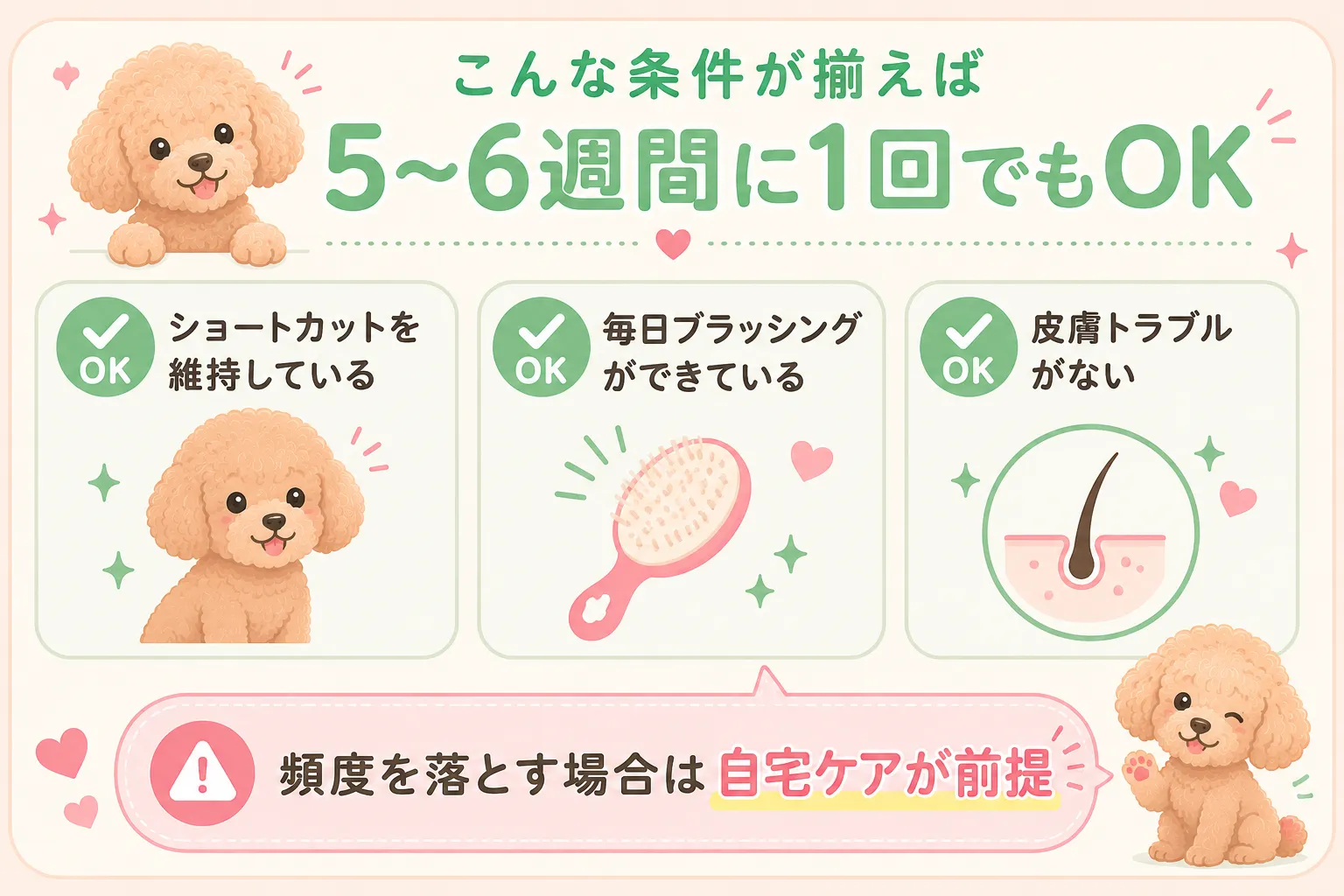 こんな条件が揃えば5〜6週間に1回でもOK。頻度を落とせるケースのインフォグラフィック