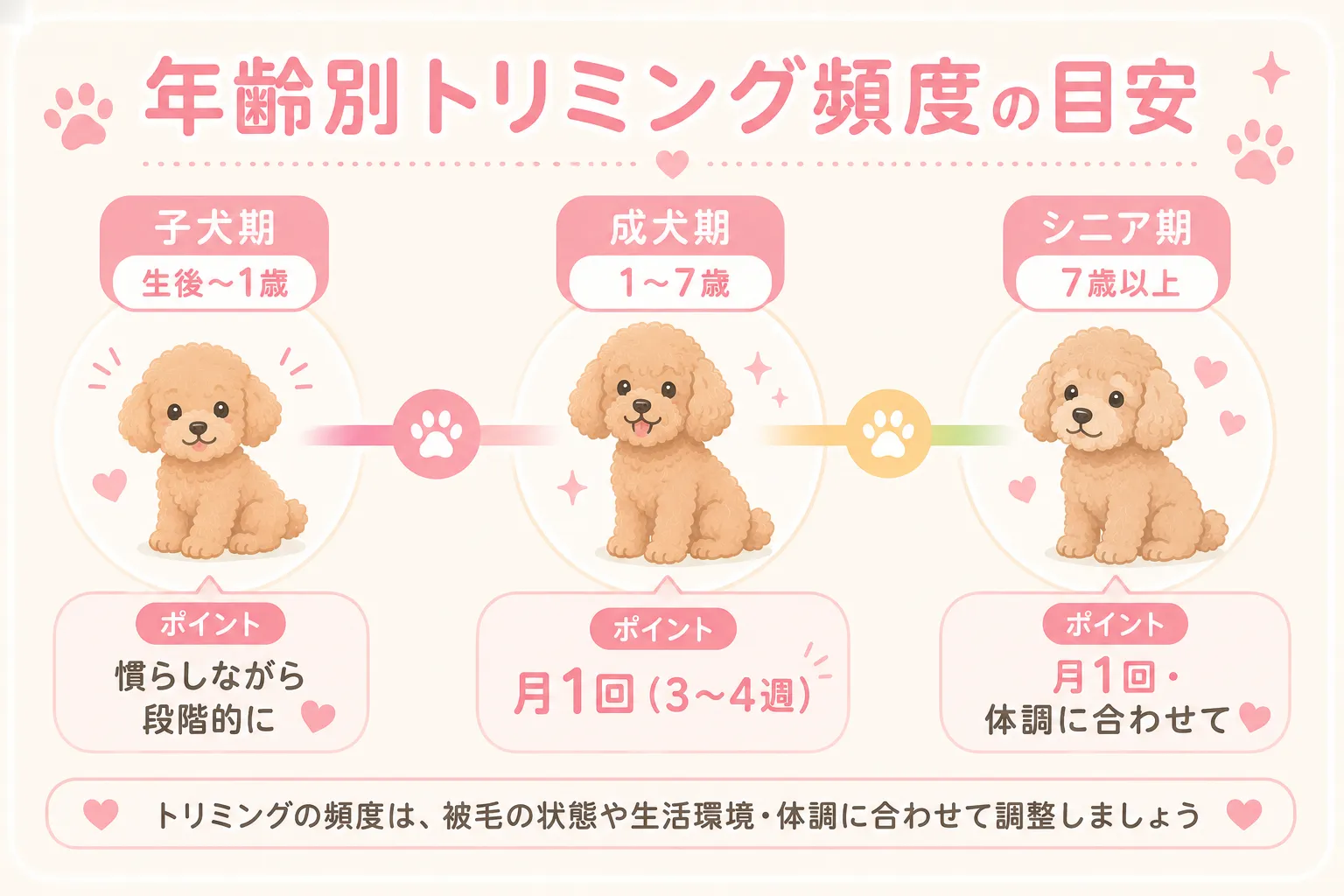 年齢別トリミング頻度の目安。子犬期・成犬期・シニア期の3段階インフォグラフィック