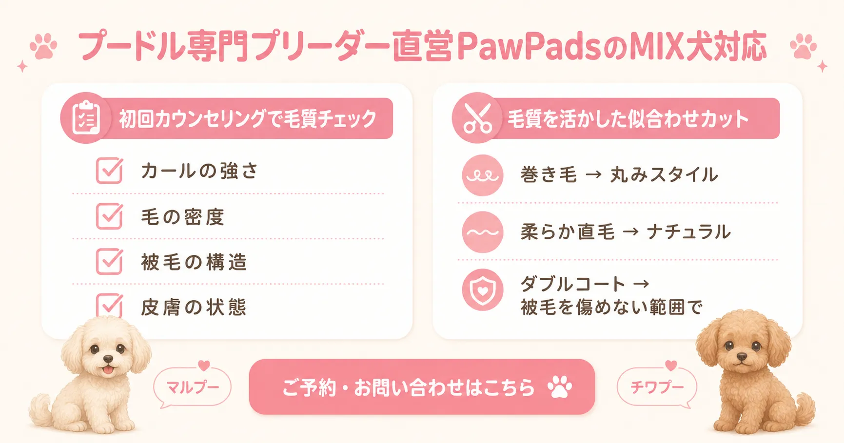 ブリーダー直営PawPadsのMIX犬対応。初回カウンセリングの毛質チェックと似合わせカットのインフォグラフィック