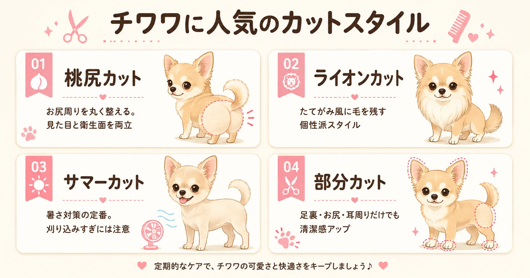 チワワに人気のカットスタイル4選の図解。桃尻カット・ライオンカット・サマーカット・部分カットの特徴