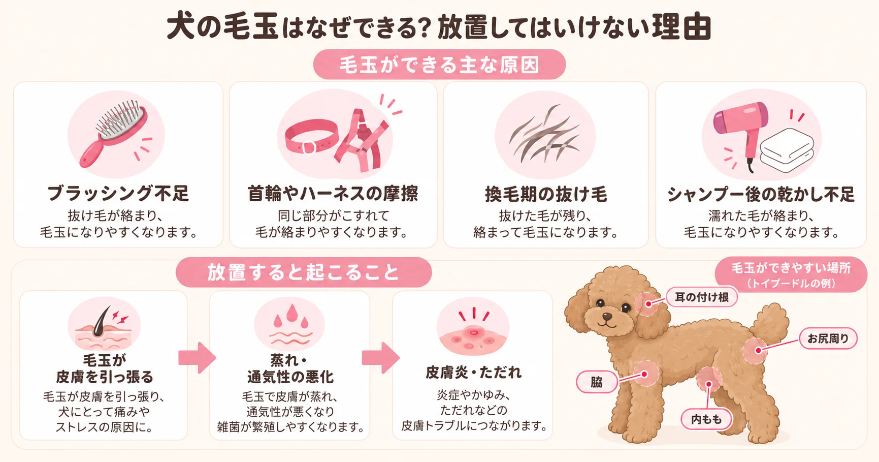 犬の毛玉ができる原因と放置するリスクの図解。ブラッシング不足や換毛期の抜け毛が皮膚炎につながる流れと毛玉ができやすい部位