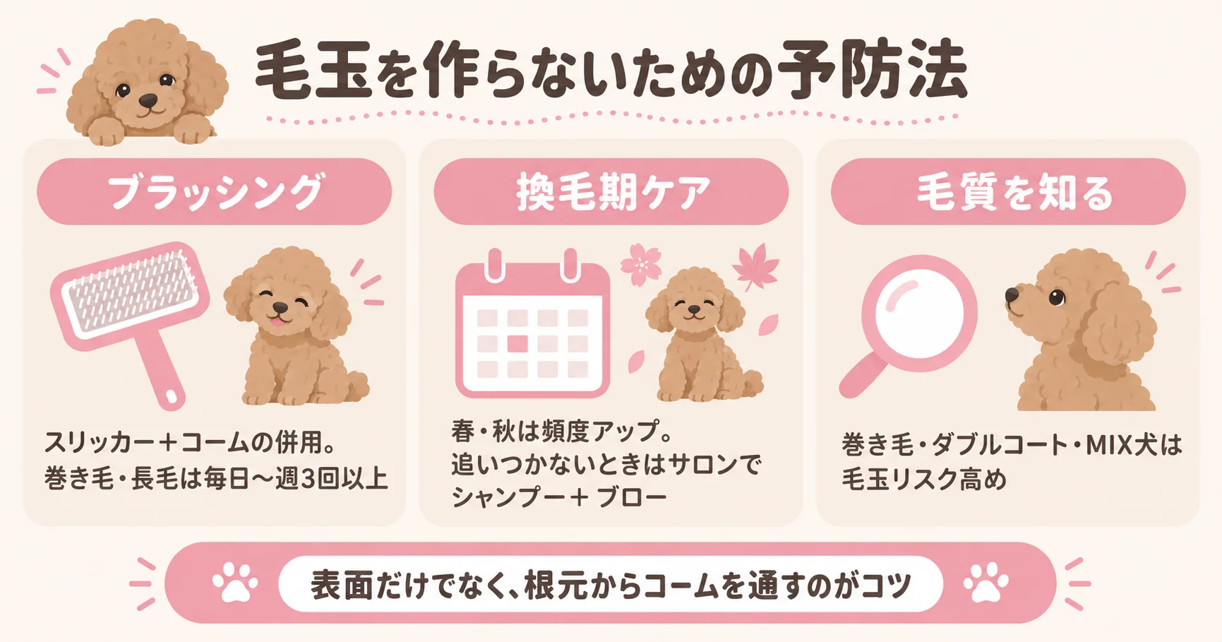 犬の毛玉予防法の図解。スリッカーとコームの併用ブラッシング・換毛期ケア・毛質の把握