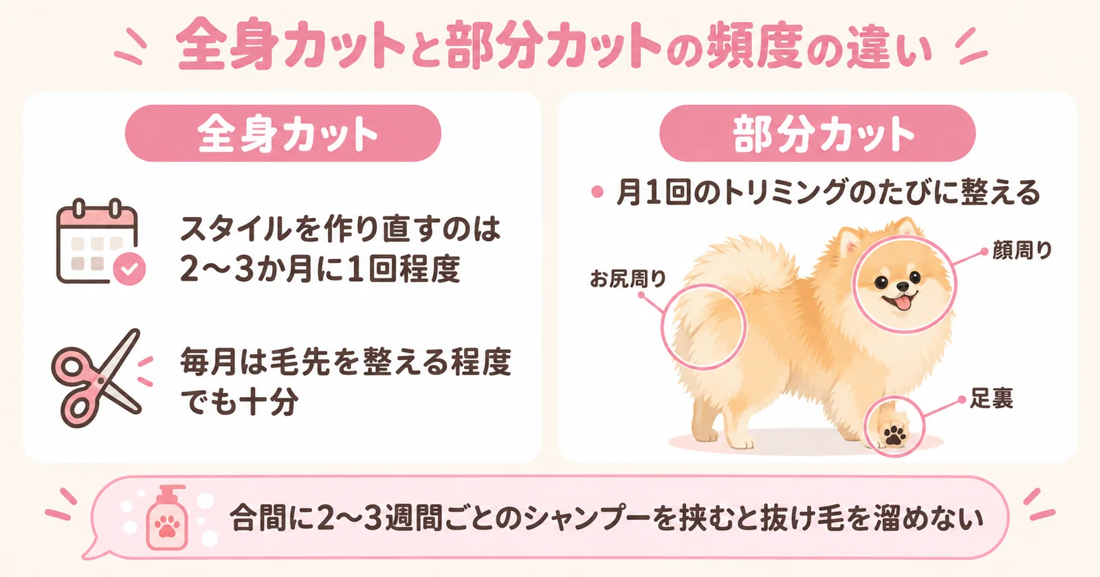 ポメラニアンの全身カットと部分カットの頻度の違いを示すインフォグラフィック