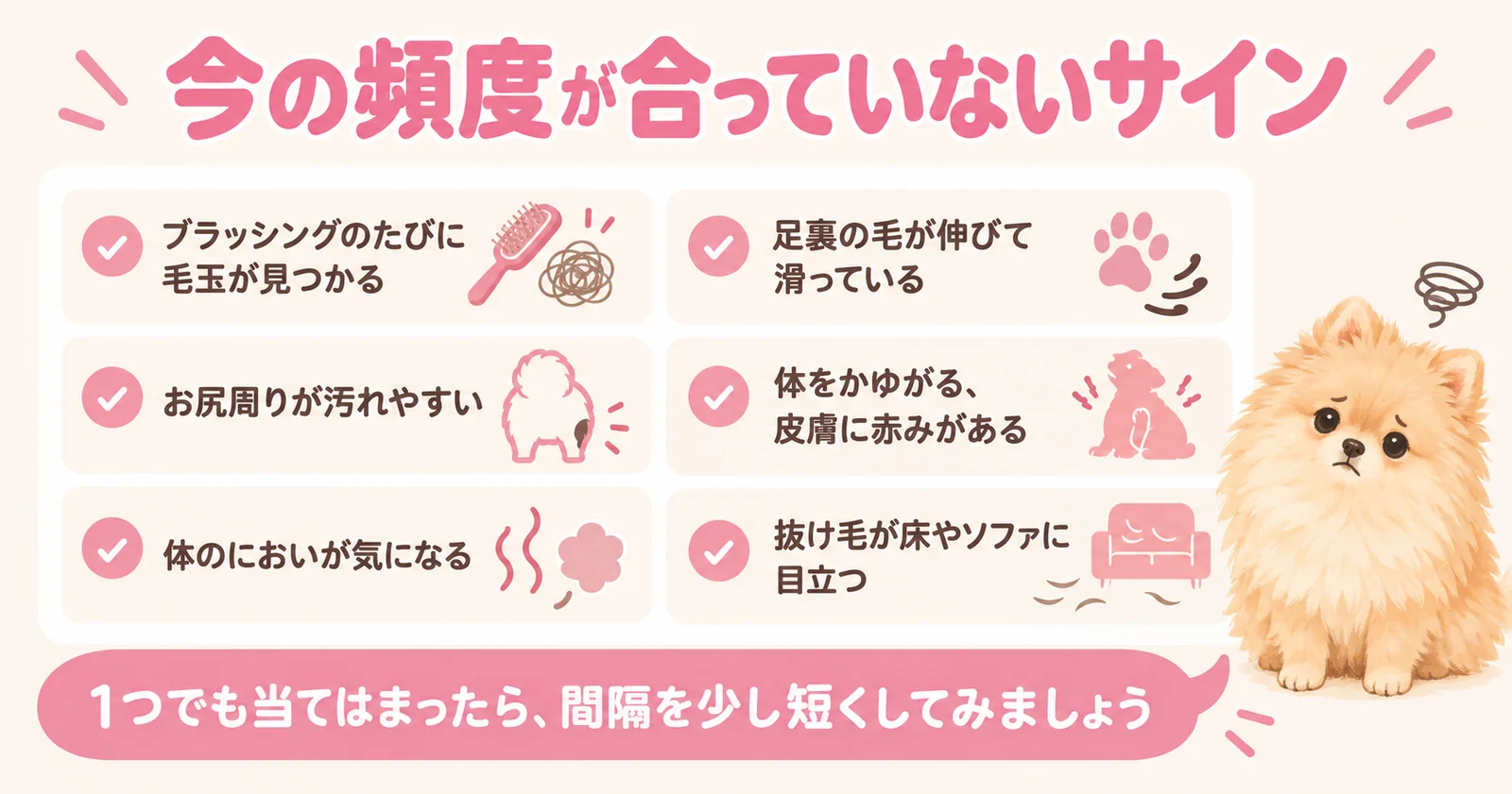 ポメラニアンのお手入れ頻度が合っていないサインを示すインフォグラフィック
