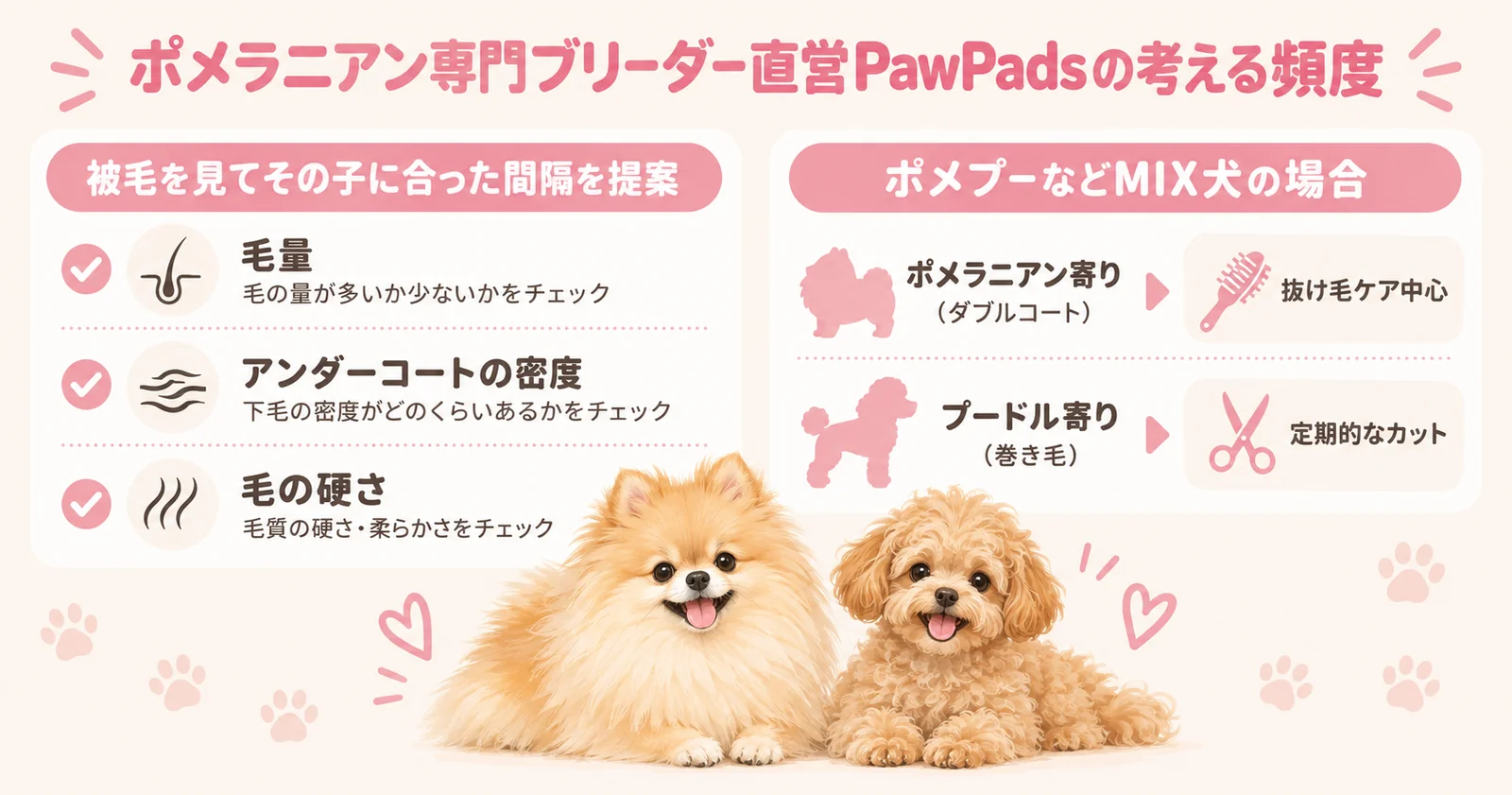 ポメラニアン専門ブリーダー直営PawPadsの考えるお手入れ頻度を示すインフォグラフィック